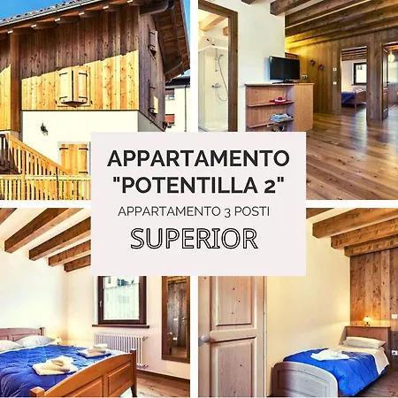 Diffuso Zoncolan * Sùtrio