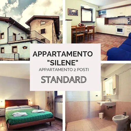 Diffuso Zoncolan Appartamento