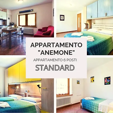 Diffuso Zoncolan * Sùtrio