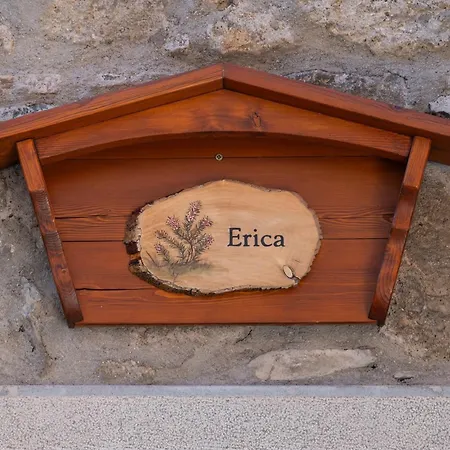 Diffuso Zoncolan *