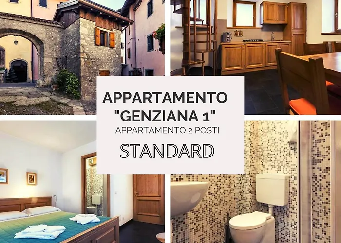 Diffuso Zoncolan * Sùtrio