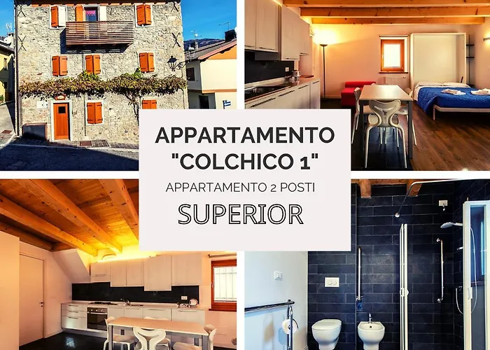 Diffuso Zoncolan * Sùtrio